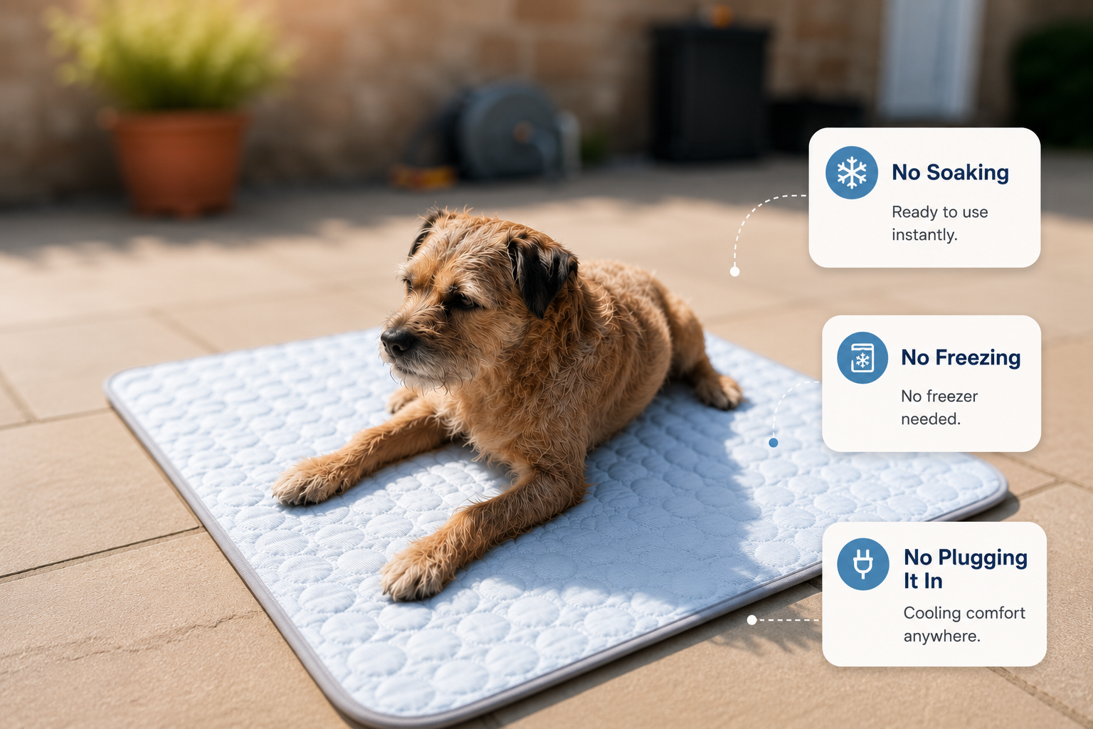 Meet the Dog Wares CryoPaw™ Cooling Mat