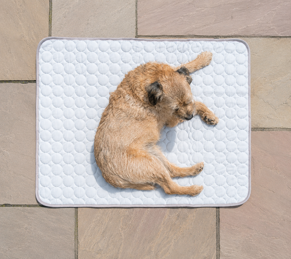 Feature product image