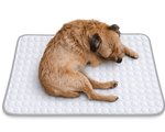 CryoPaw™